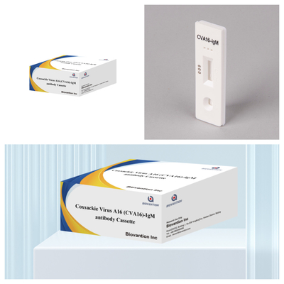 Coxsackievirus A16 CVA16-IgM-antilichaam Cassette WB/S/P Colloïdale gouden snelle test