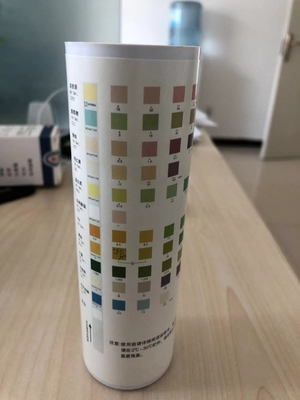 Urinaliseren Teststrook Droge chemische methode Urine-H-11 Urine-H-10 Urine-H-8