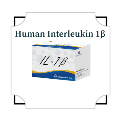 IL-1β Sensitive ELISA Kit voor onderzoek met 95% gevoeligheid en 6 maanden