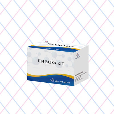 FT4 Elisa Kit met 95% gevoeligheid in vitro testreagentia voor menselijk gebruik
