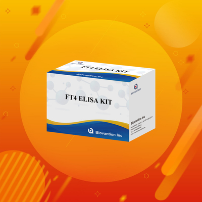 FT4 Elisa Kit met 95% gevoeligheid in vitro testreagentia voor menselijk gebruik