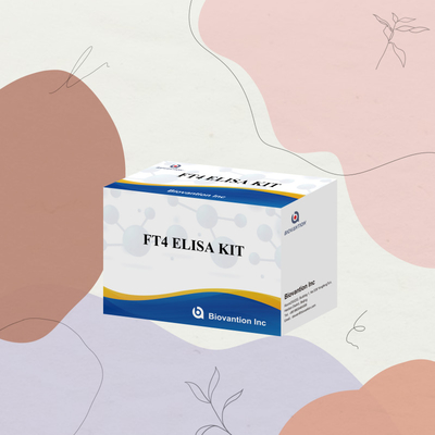 TOXO IgM IgG igg igg igm ELISA kit voor menselijk gebruik testkit met 96 kits