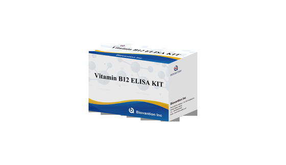 Vitamine B1 Elisa Test Kit Dierproef Enzymgebonden product Onderzoek
