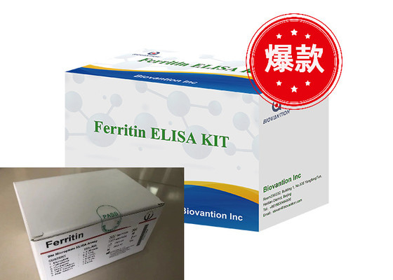 Ferritine Elisa Test Kit Enzymgebonden producten Korte transporttijd Hoge kwaliteit