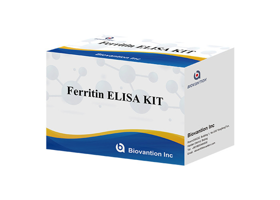 Laboratorium of ziekenhuis Hoge precisie Human ferritine FE ELISA TEST KIT