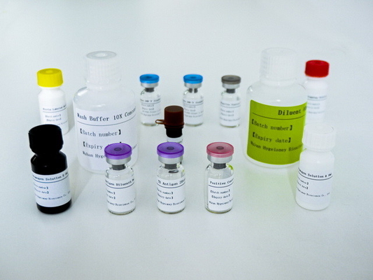 Eenvoudig tot TB-IGRA-ELISA-testkit met lange houdbaarheid en 2C-8C-conserveringsmethode