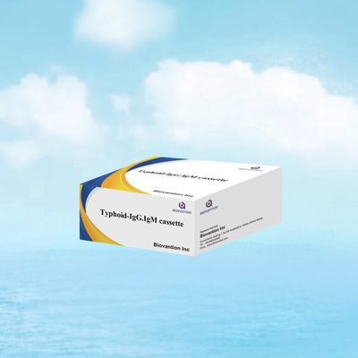 Warm verkoop Tyfus IgM IgG Voor laboratoria Ziekenhuizen Tyfus Koorts Bloed Rapid Test Kit