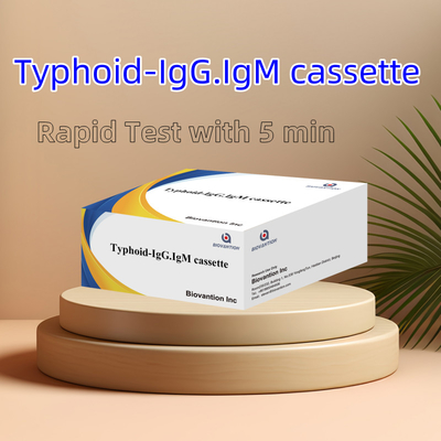 Warm verkoop Tyfus IgM IgG Voor laboratoria Ziekenhuizen Tyfus Koorts Bloed Rapid Test Kit