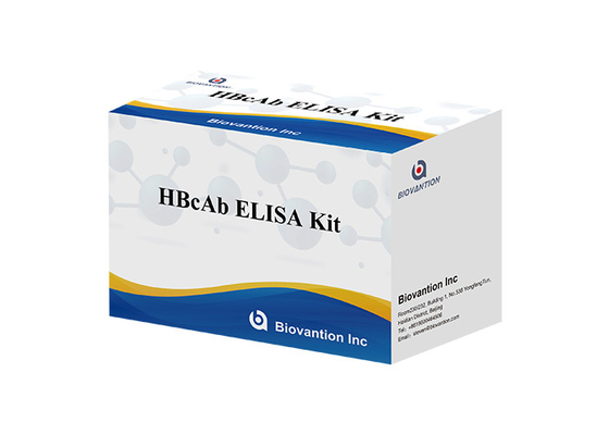 Warm verkoop Diagnostisch reagens voor menselijk gebruik met 96 test Hbc antilichaam HBcAb Elisa Kit