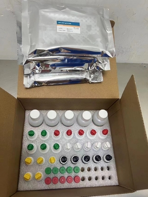 Nieuwe aankomst IVD-reagentia HCV-diagnostisch reagentia-test voor menselijk ziekenhuis