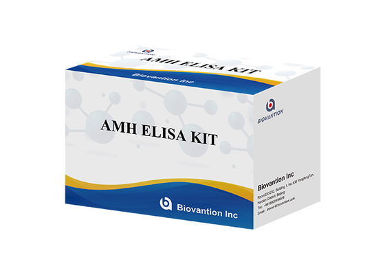 Anti-Mullerian hormoon AMH Elisa Test Kit Voor menselijk gebruik met Serum Plasma