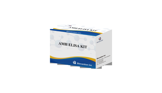 Anti-Mullerian hormoon AMH Elisa Test Kit Voor menselijk gebruik met Serum Plasma