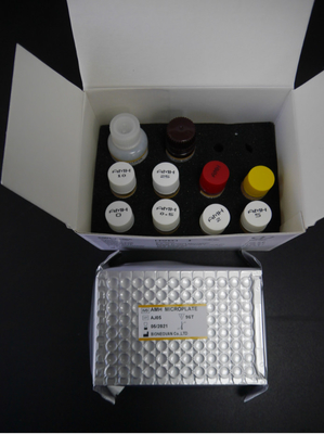 Anti-Mullerian hormoon AMH Elisa Test Kit Voor menselijk gebruik met Serum Plasma
