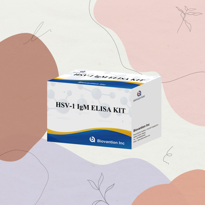 HSV-1 IgM Medische diagnose Elisa Test Kit met 18 maanden houdbaarheid Oorsprong