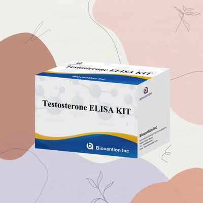 Mensenziekte diagnostische test Test osterone Elisa Test Kit met 96 test voor ziekenhuis