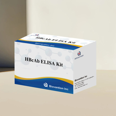 HBcAb ELISA-testkit assay antilichaam detectie kit kwalitatief