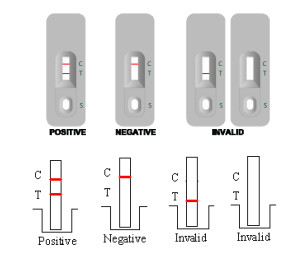 Hoog nauwkeurige GAS Groud A Stretococcal Antigen Rapid Test Kit 50 Tests Rapid Reading