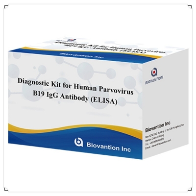 Fabriek rechtstreeks verkoop B19 ELISA Kit voor menselijk parvovirus B19 IgM antilichaam Elisa Test Kit met 96T