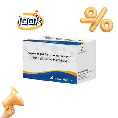 Fabriek rechtstreeks verkoop B19 ELISA Kit voor menselijk parvovirus B19 IgM antilichaam Elisa Test Kit met 96T