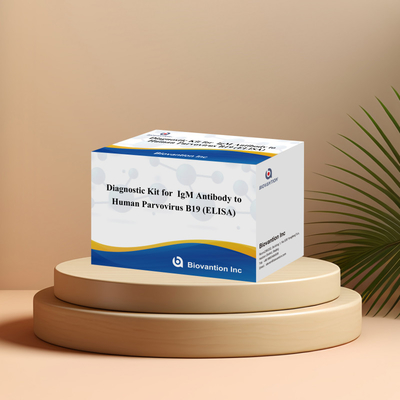 Fabriek rechtstreeks verkoop B19 ELISA Kit voor menselijk parvovirus B19 IgM antilichaam Elisa Test Kit met 96T