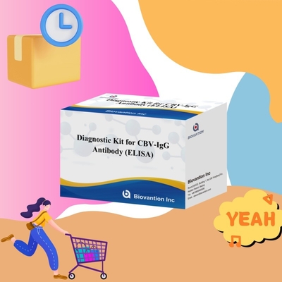 Zeer specifieke CBV-IgG-antilichamen detecteren Elisa-kits voor nauwkeurige detectie van doel-analyten