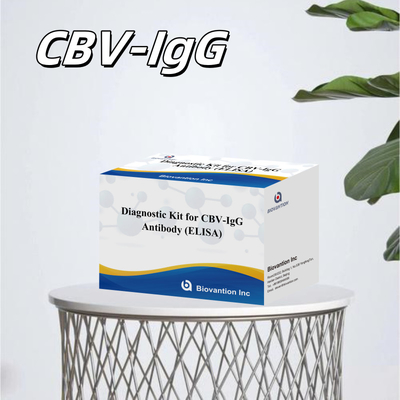 Zeer specifieke CBV-IgG-antilichamen detecteren Elisa-kits voor nauwkeurige detectie van doel-analyten