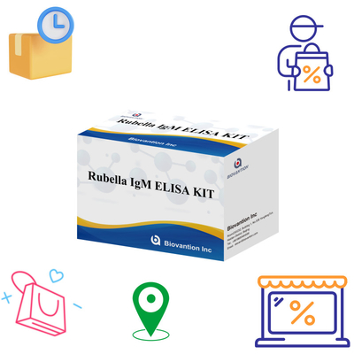 Elisa-testkit voor rubella IgM-detectietool voor rubella IgG-antilichamen voor menselijk gebruik