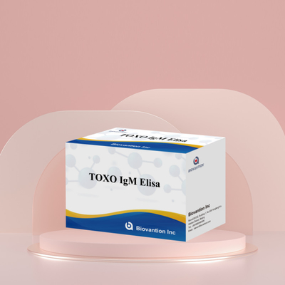 TOXO IgM Elisa Kit voor menselijk gebruik Diagnostisch reagens test kit met 96 kit
