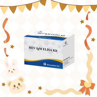 Precieze en gevoelige HEV-IgM Elisa-testkit voor nauwkeurige detectie en analyse
