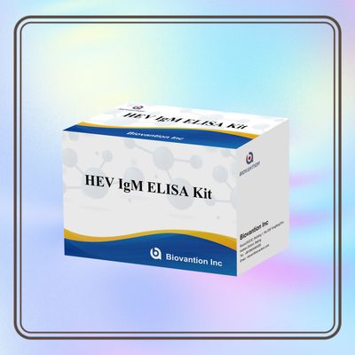 Precieze en gevoelige HEV-IgM Elisa-testkit voor nauwkeurige detectie en analyse