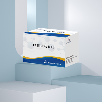 Zeer gevoelige en specifieke Elisa-testkit voor kwantitatieve detectie van T3 in menselijk serum met korte testtijd
