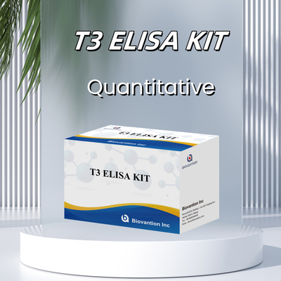Zeer gevoelige en specifieke Elisa-testkit voor kwantitatieve detectie van T3 in menselijk serum met korte testtijd