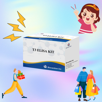 Zeer gevoelige en specifieke Elisa-testkit voor kwantitatieve detectie van T3 in menselijk serum met korte testtijd