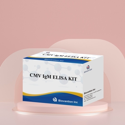 Biovantion High-Sensitivity CMV ELISA Reagent Kit voor het detecteren van cytomegalovirus-antilichamen