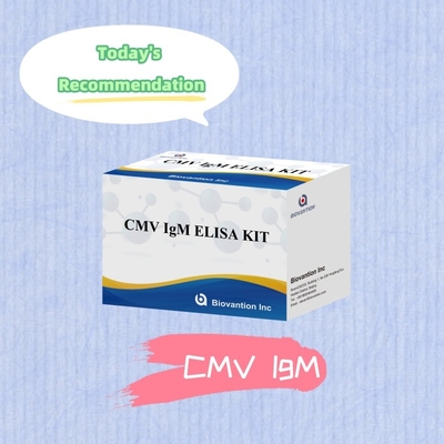 Biovantion High-Sensitivity CMV ELISA Reagent Kit voor het detecteren van cytomegalovirus-antilichamen