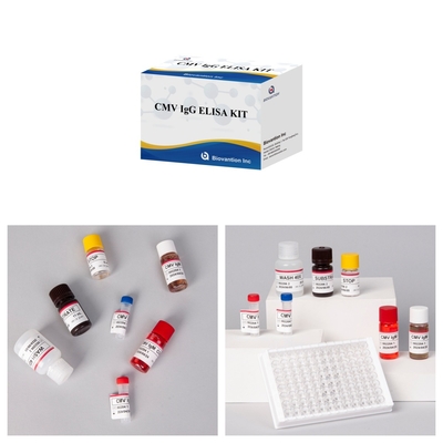 Biovantion High-Sensitivity CMV ELISA Reagent Kit voor het detecteren van cytomegalovirus-antilichamen