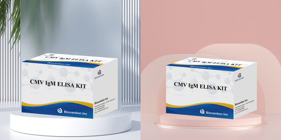 Biovantion High-Sensitivity CMV ELISA Reagent Kit voor het detecteren van cytomegalovirus-antilichamen