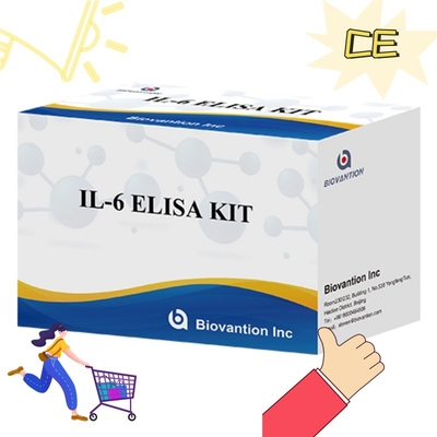 Hoge-gevoeligheid ELISA-kit voor IL6-detectie Betrouwbare onderzoeksreagentia voor nauwkeurige cytokine-analyse