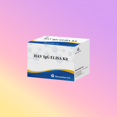 Hoge gevoeligheid HAV IgG ELISA Kit nauwkeurige hepatitis A-virusdetectie betrouwbare CE-certificering voor klinisch en onderzoekgebruik