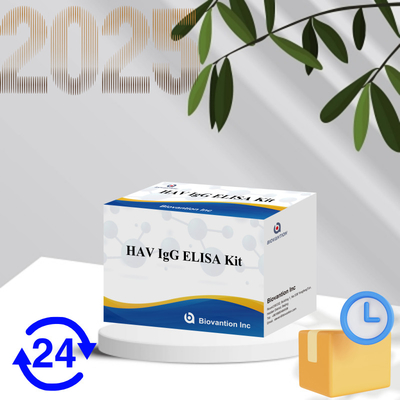 Hoge gevoeligheid HAV IgG ELISA Kit nauwkeurige hepatitis A-virusdetectie betrouwbare CE-certificering voor klinisch en onderzoekgebruik