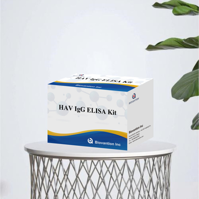 Hoge gevoeligheid HAV IgG ELISA Kit nauwkeurige hepatitis A-virusdetectie betrouwbare CE-certificering voor klinisch en onderzoekgebruik