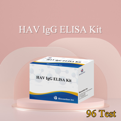 Hoge gevoeligheid HAV IgG ELISA Kit nauwkeurige hepatitis A-virusdetectie betrouwbare CE-certificering voor klinisch en onderzoekgebruik