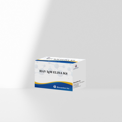 HAV IgM ELISA Kit Hoge gevoeligheid Hepatitis A Virusdetectie Betrouwbare nauwkeurige diagnostische test voor klinische laboratoria