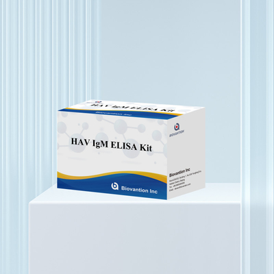 HAV IgM ELISA Kit Hoge gevoeligheid Hepatitis A Virusdetectie Betrouwbare nauwkeurige diagnostische test voor klinische laboratoria