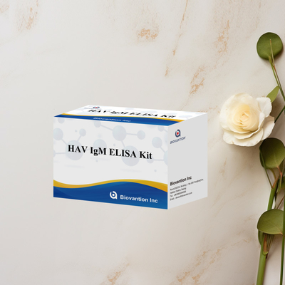 HAV IgM ELISA Kit Hoge gevoeligheid Hepatitis A Virusdetectie Betrouwbare nauwkeurige diagnostische test voor klinische laboratoria