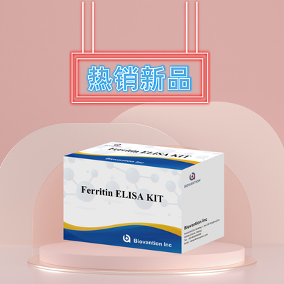 Biovantion Hoge gevoeligheid Ferritine Elisa Test Kit kwantitatieve detectie voor klinische diagnose en onderzoek gebruik menselijk serum plasma monsters