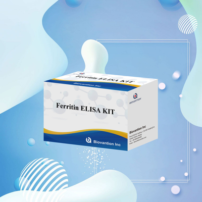 Biovantion Hoge gevoeligheid Ferritine Elisa Test Kit kwantitatieve detectie voor klinische diagnose en onderzoek gebruik menselijk serum plasma monsters