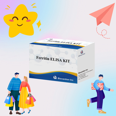 Biovantion Hoge gevoeligheid Ferritine Elisa Test Kit kwantitatieve detectie voor klinische diagnose en onderzoek gebruik menselijk serum plasma monsters