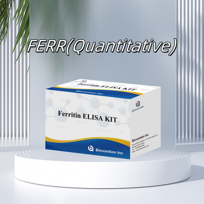 Biovantion Hoge gevoeligheid Ferritine Elisa Test Kit kwantitatieve detectie voor klinische diagnose en onderzoek gebruik menselijk serum plasma monsters