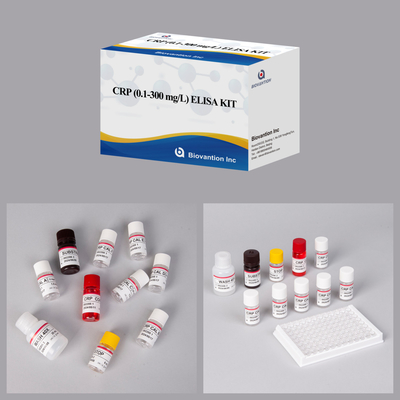 Accurate CRP 0,1-300 Mg/L Elisa Test Kit voor gevoelige detectie van biologische stoffen